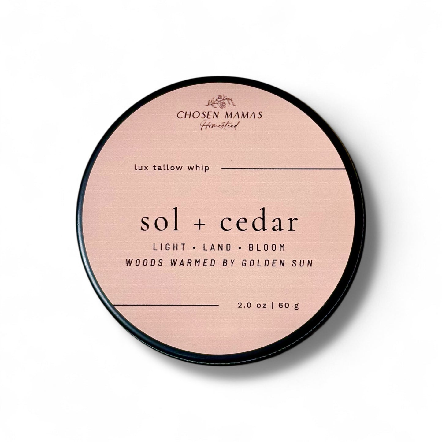 Sol + Cedar | Land | Grounding Woods + Sunlight Citrus