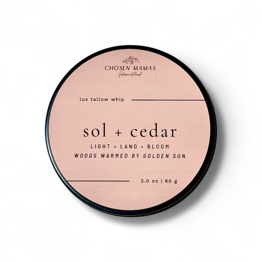 Sol + Cedar | Land | Grounding Woods + Sunlight Citrus